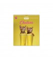 Adorables chatons  2023