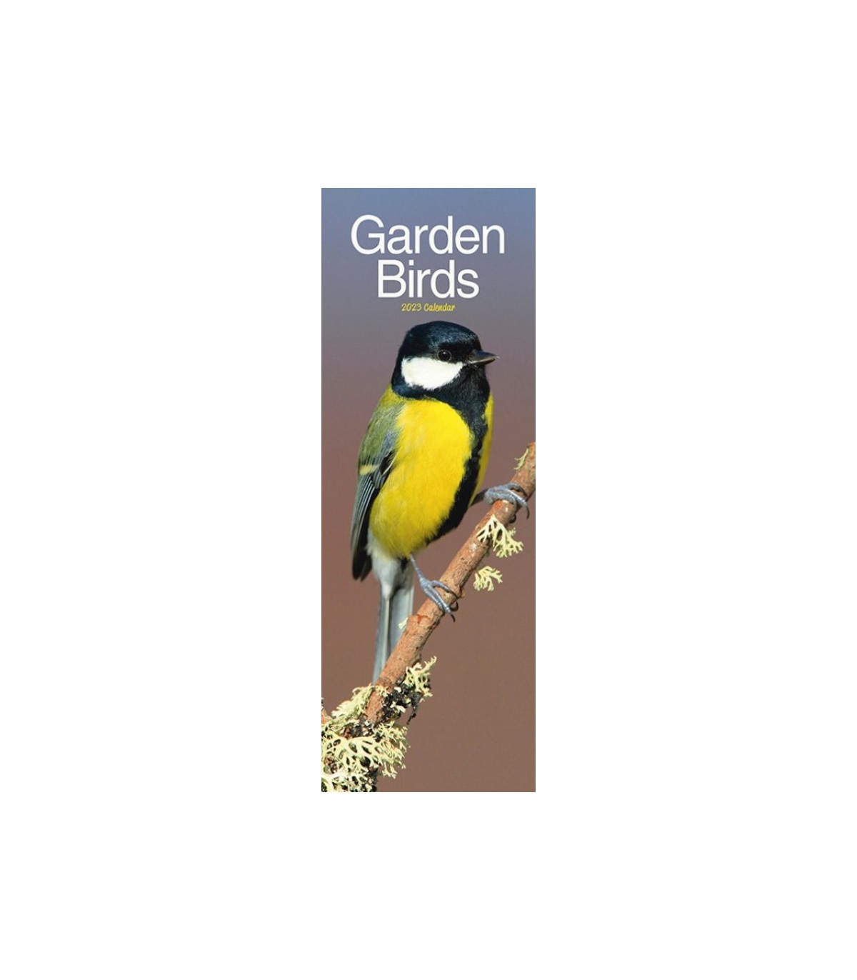 Calendrier 2024 oiseaux de nos jardins