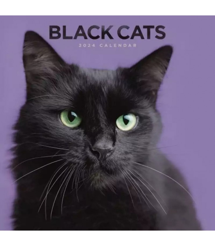 Mon Calendrier Mural : Calendrier 2024 de photos de chats noirs
