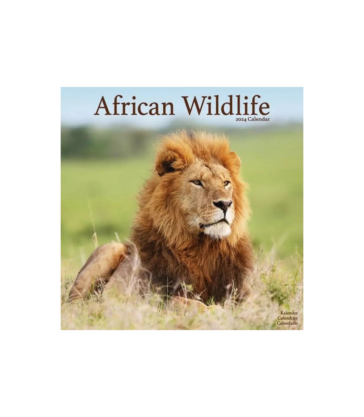 Calendrier 2024 Animaux Sauvages d'Afrique