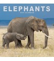 Eléphants 2025